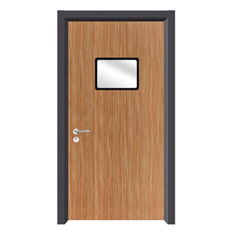 Дверь для больничных палат.10